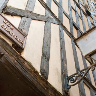 Les arbres parlent bas