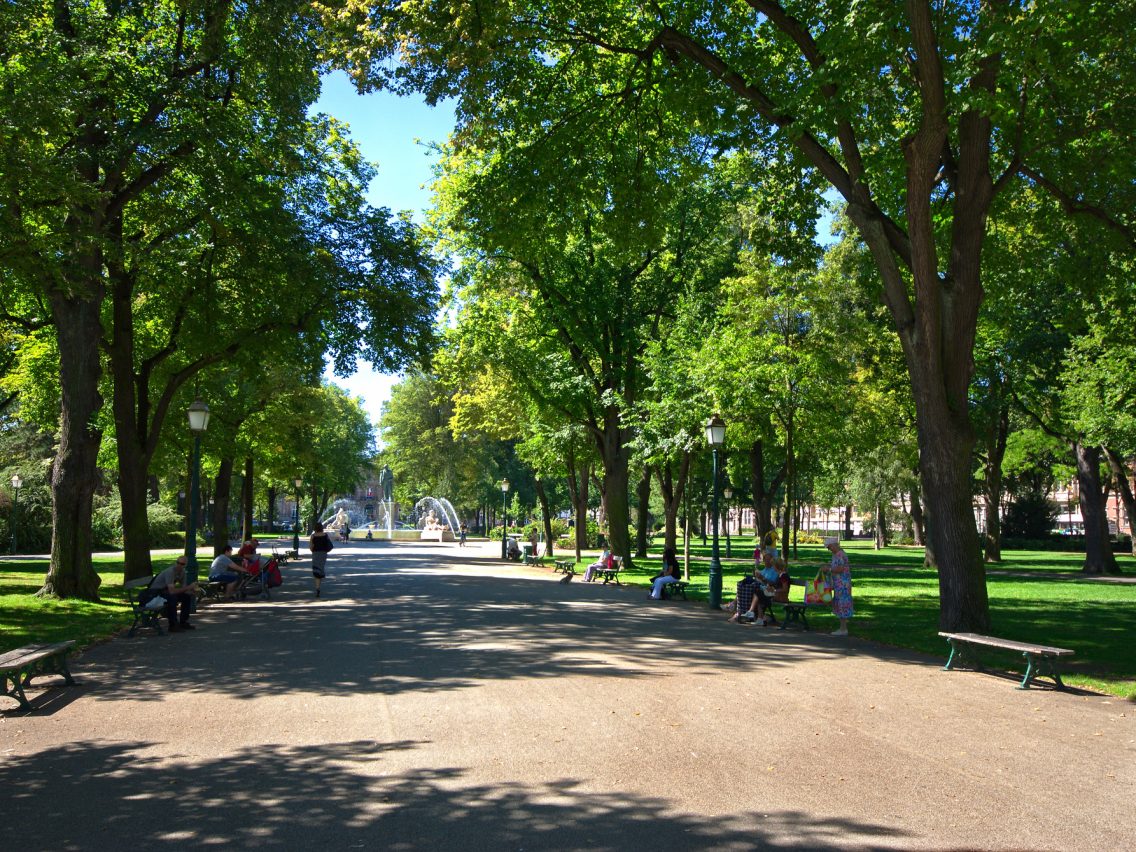 Les arbres parlent bas