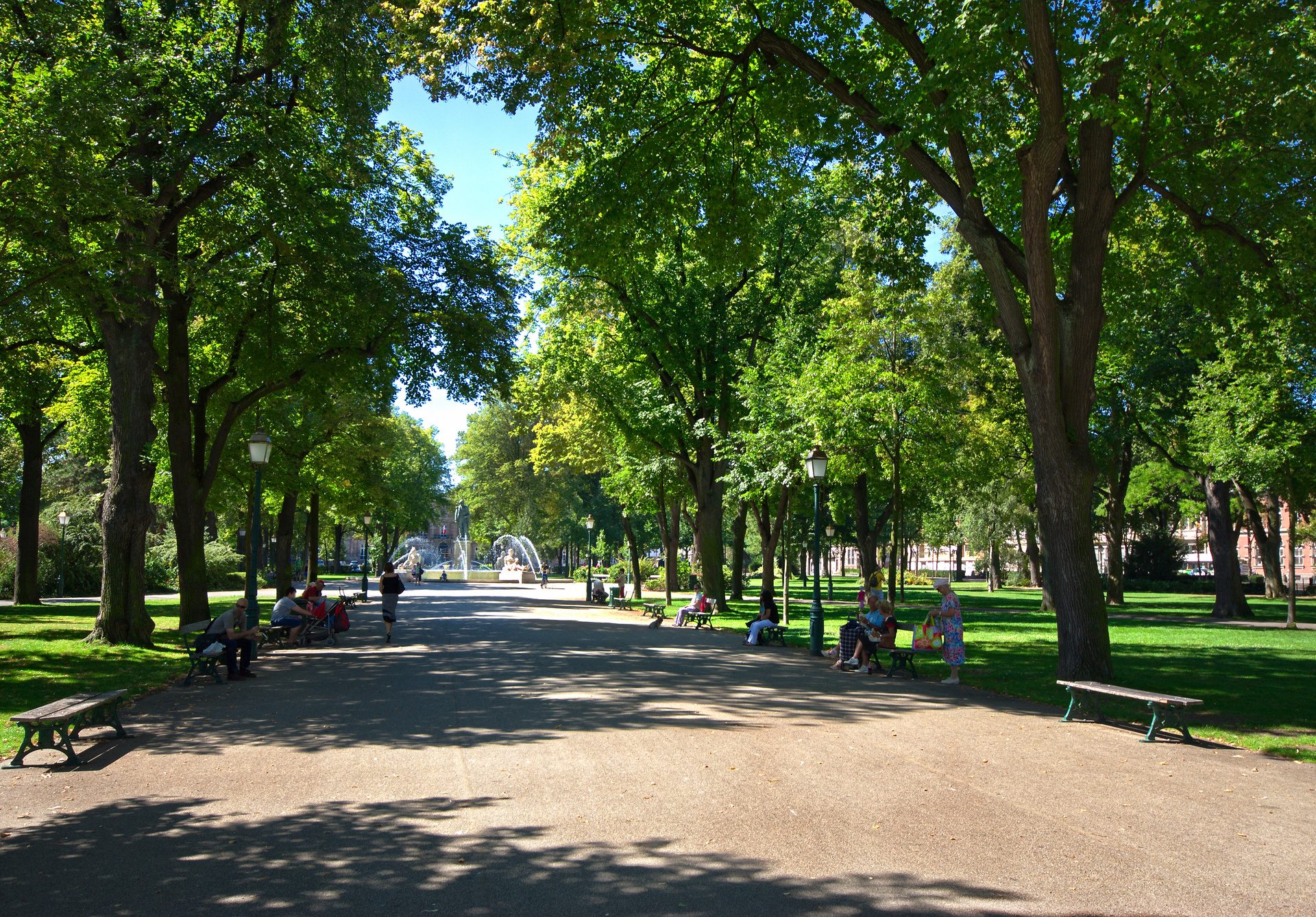 Les arbres parlent bas