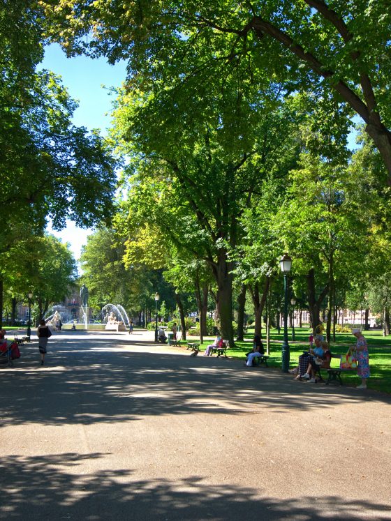 Les arbres parlent bas