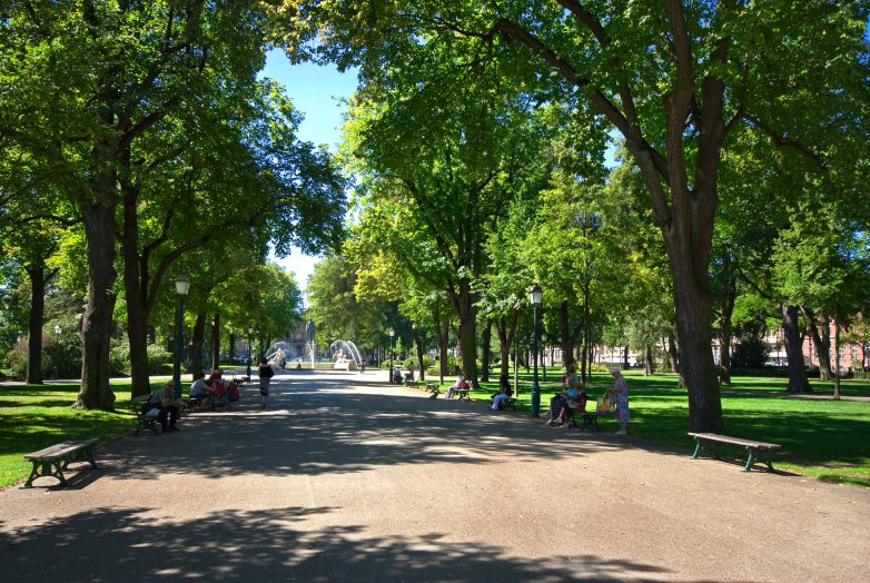 Les arbres parlent bas