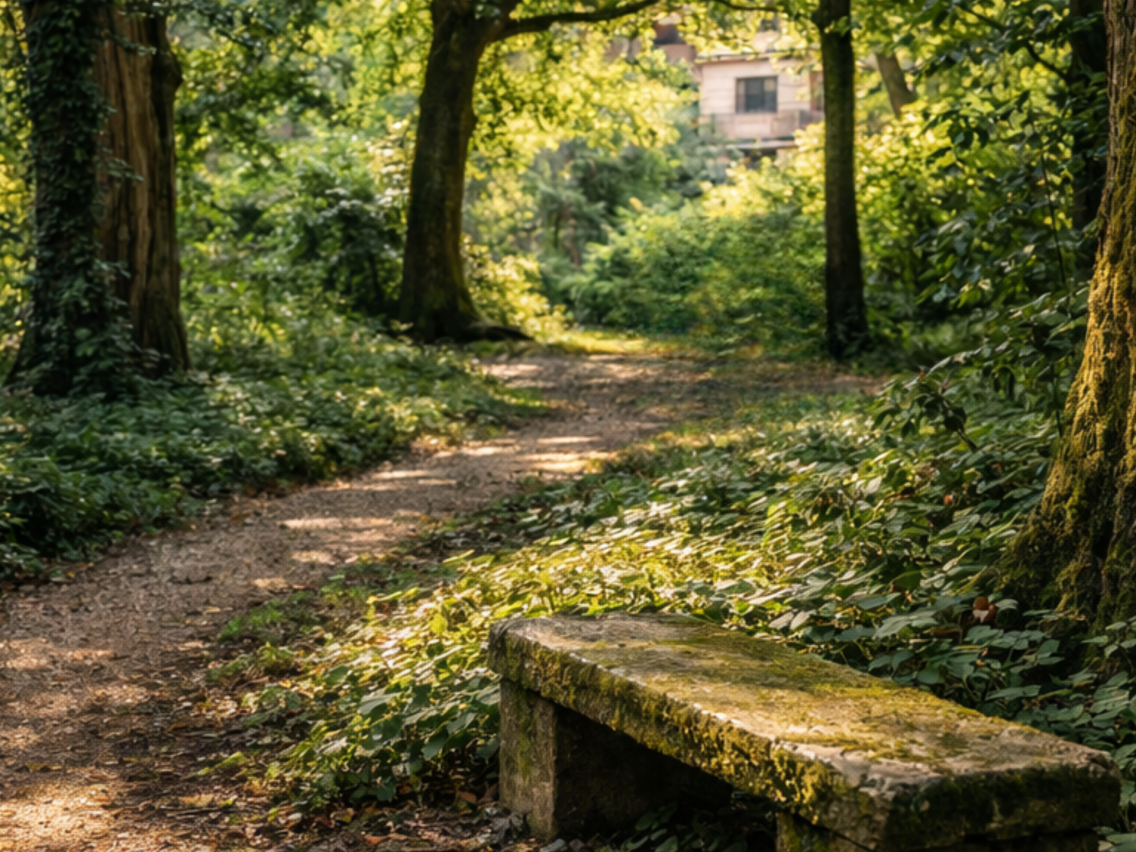 L’ombre des arbres sans nom